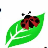 Amazing Treatment logo