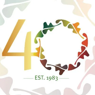 Ashley Addiction Treatment logo