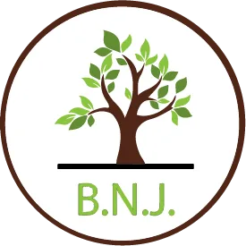 BNJ Health Services Washington logo