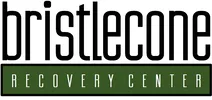 Bristlecone Family Resources logo