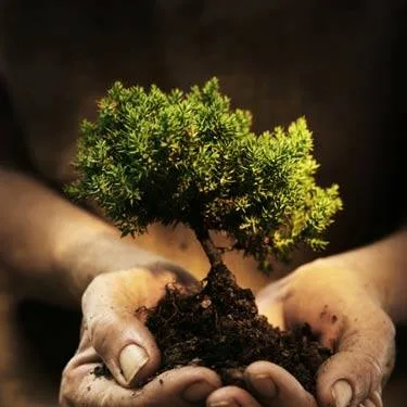 Key Development Center logo