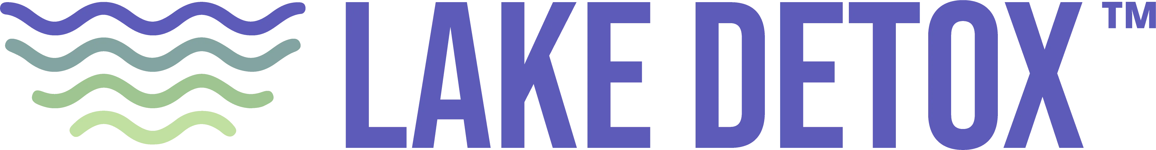 Lake Wellness Center Metairie logo