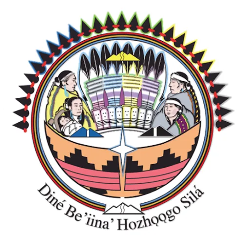 Navajo Regional Behavioral Health Center Shiprock logo