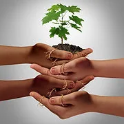 PATS Prevention and Treatment Services logo