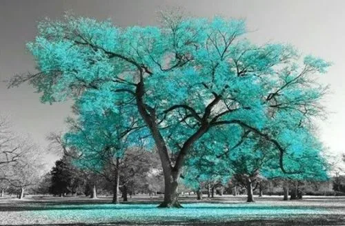 Progress House Mens Facility logo