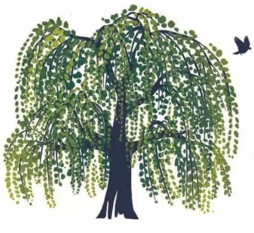 Psychiatric Hope logo