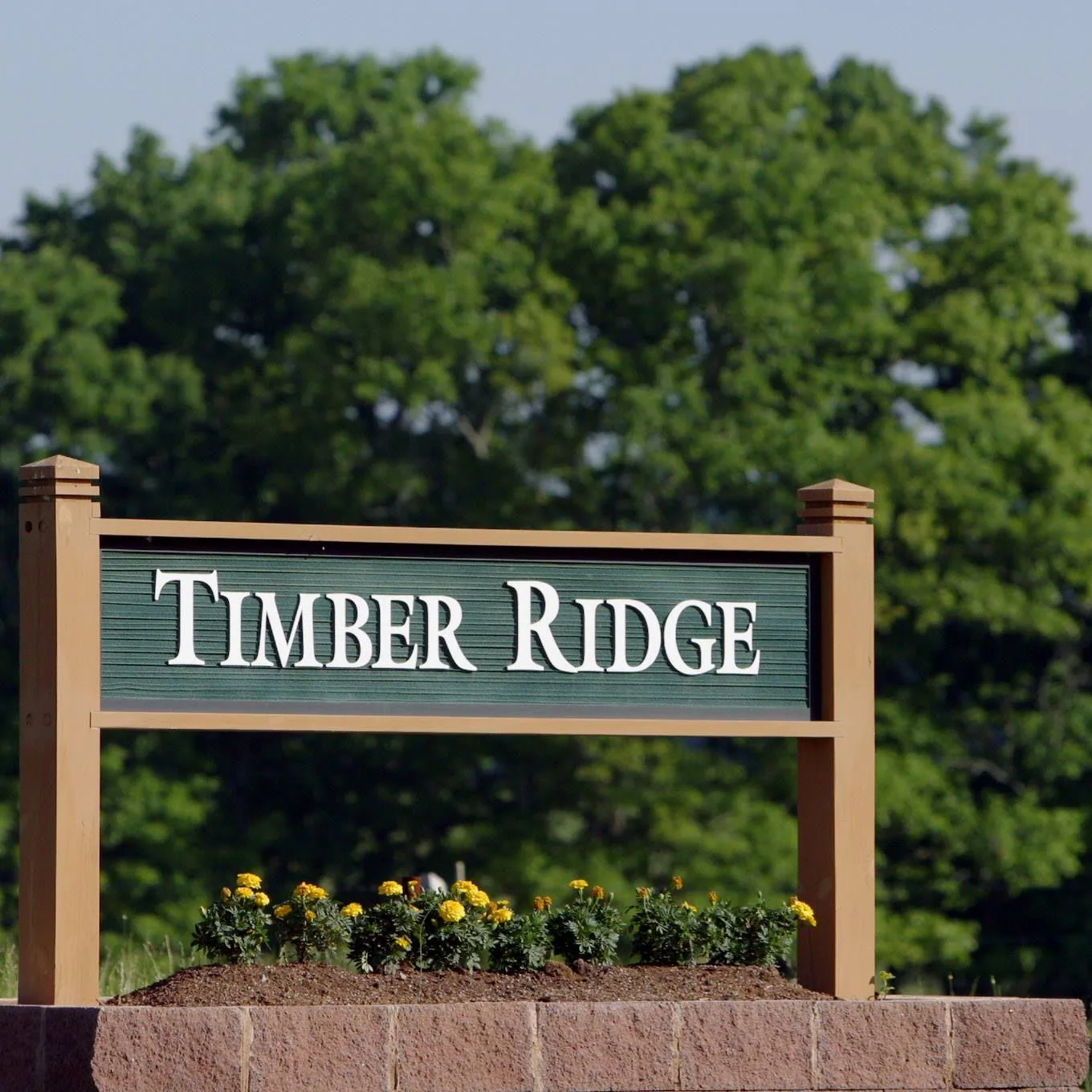 Timber Ridge Treatment Center logo
