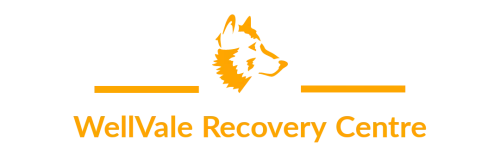 Wellvale Recovery Centre logo